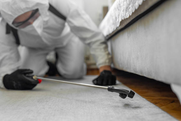 Professional Termite Control technician working in Fort Valley, AZ